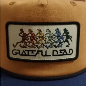 Grateful Dead Brown and Blue Hat